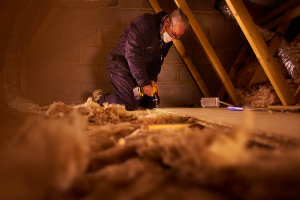 Professional Insulation Contractor in University Place, WA
