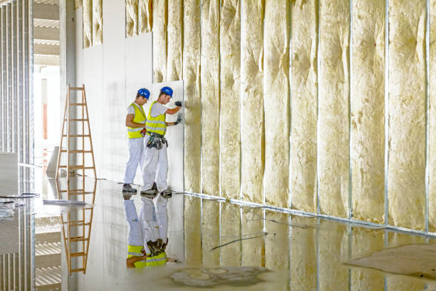 Best Eco-Friendly Insulation in University Place, WA